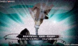 水门最新爆料事件视频,揭秘最新爆料视频背后的惊人真相